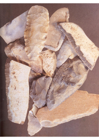 Neolithikum, Steinzeit, Cham, Sicheleinsätze, Griesstetten