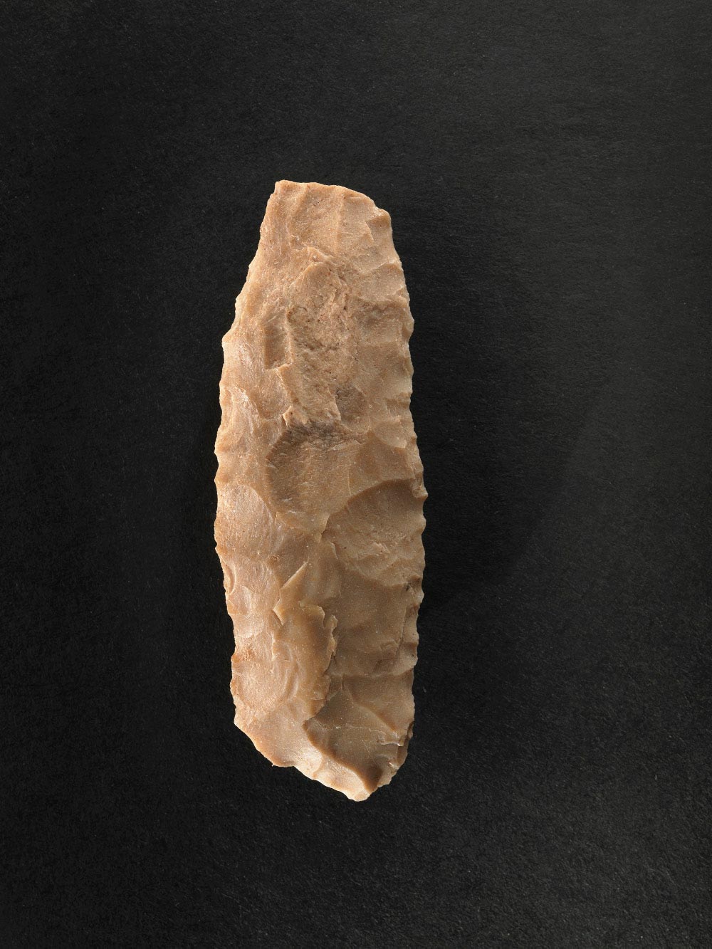 Neolithikum, Steinzeit, Glockenbecher, Sicheleinsatz, Sichel