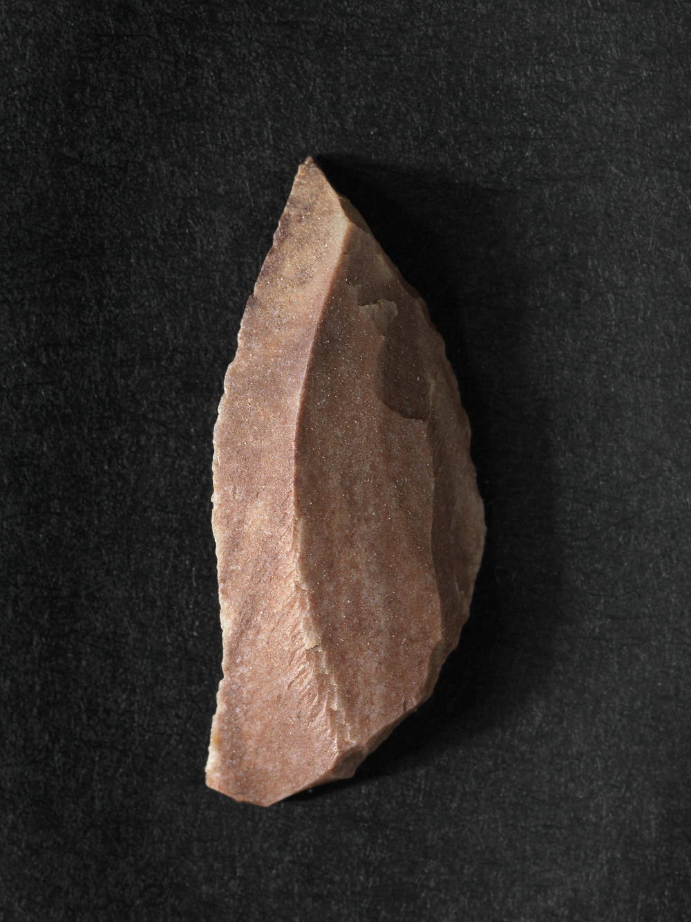 Mesolithikum, Steinzeit, Kreissegment, Harpune